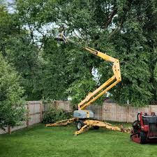 Best Tree Health Inspection  in Rutherford College, NC