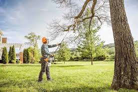 Best Lawn Renovation and Restoration  in Rutherford College, NC