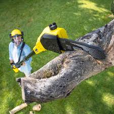 Lawn Edging in Rutherford College, NC